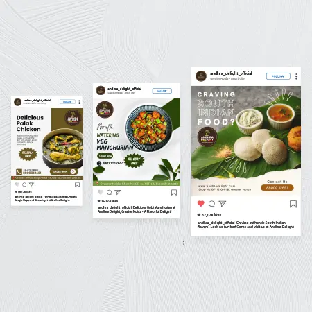 Andhra Delight Social Media Management - Anuation labs portfolio