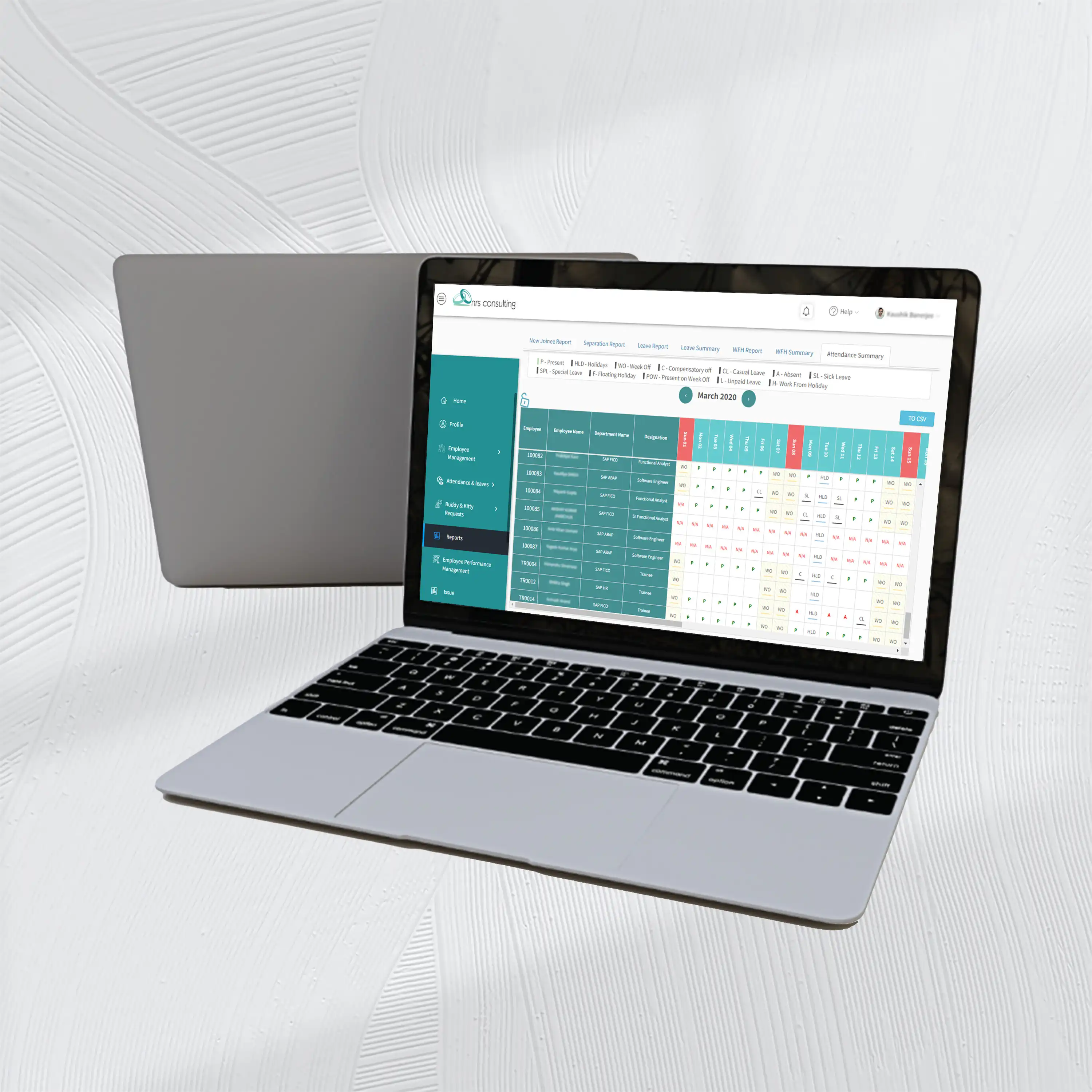 NRS Consulting Leave Management Portal