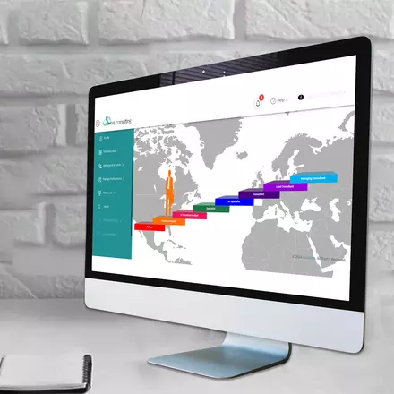 NRS Consulting Company Hierarchy Management