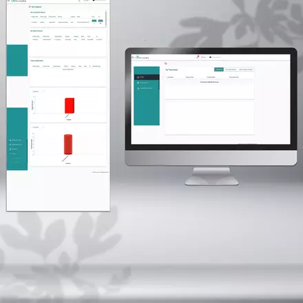 NRS Consulting Website Development 