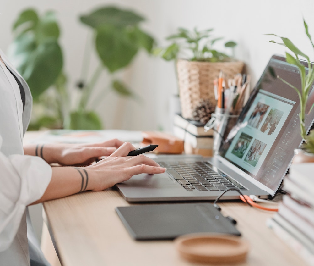 WordPress Web Development & Design Services | Anuation Labs